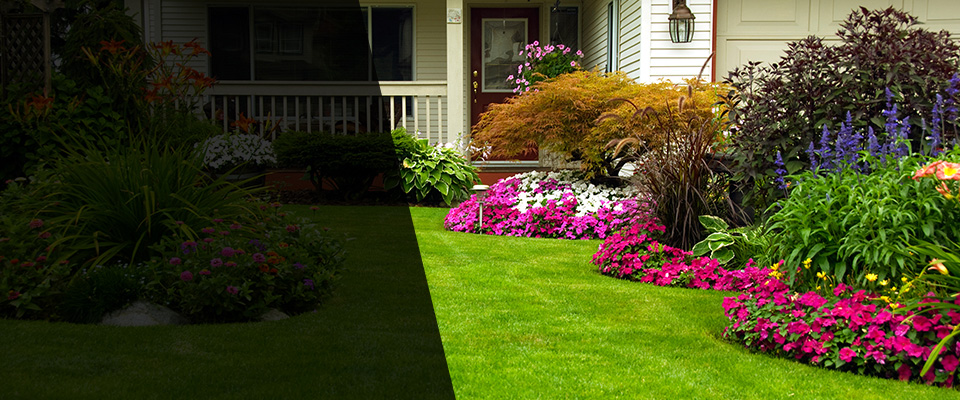 Bridgeview Landscapers