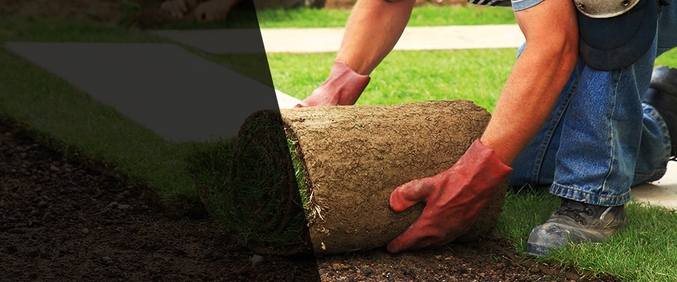 Bridgeview Landscapers